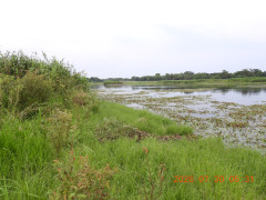 DSCN4839.JPG