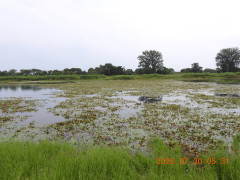 DSCN4840.JPG