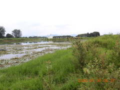 DSCN4841.JPG