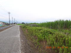DSCN4888.JPG