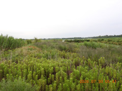 DSCN4889.JPG