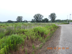 DSCN4890.JPG