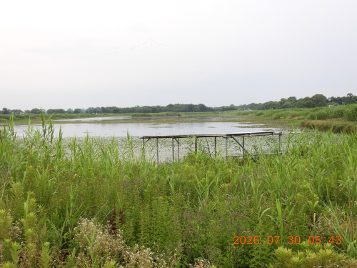 DSCN4892.JPG