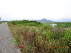 DSCN4894.JPG