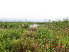 DSCN4895.JPG