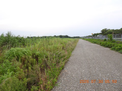DSCN4896.JPG