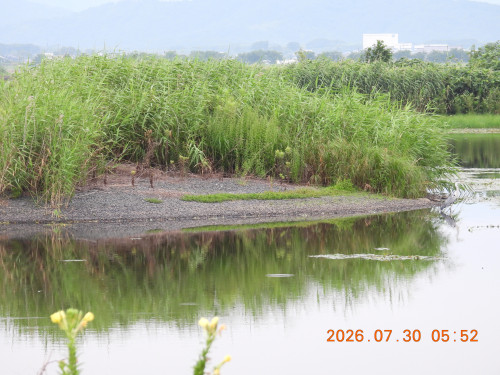 DSCN4897.JPG
