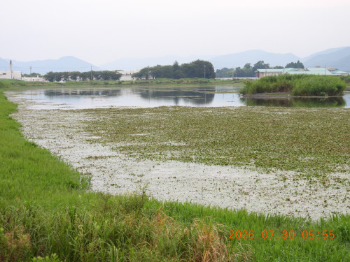 DSCN4898.JPG