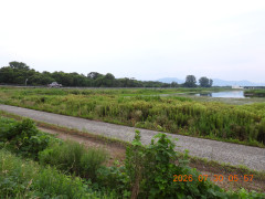 DSCN4899.JPG