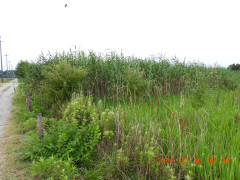 DSCN4901.JPG