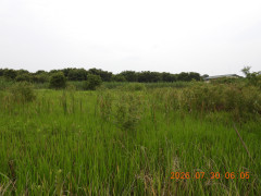 DSCN4902.JPG