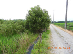 DSCN4903.JPG