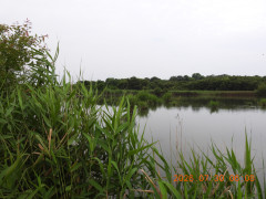 DSCN4904.JPG