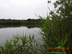 DSCN4905.JPG