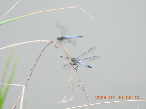 DSCN4906.JPG