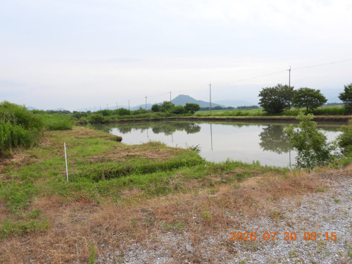 DSCN4907.JPG
