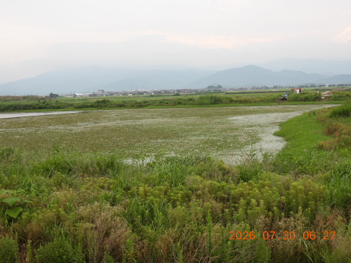 DSCN4909.JPG