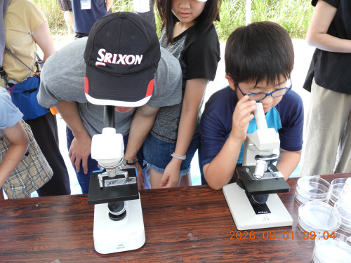 DSCN4931.JPG
