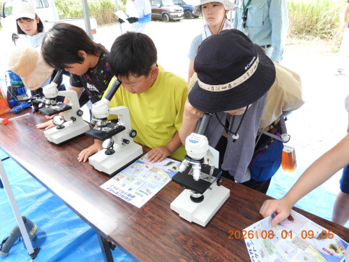 DSCN4932.JPG