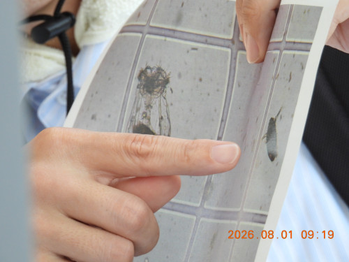 DSCN4935.JPG