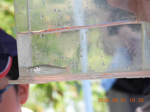 DSCN4954.JPG