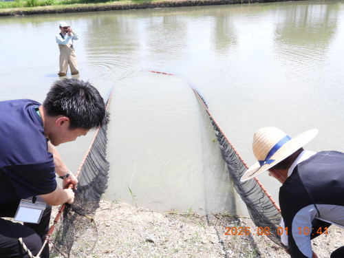 DSCN4960.JPG