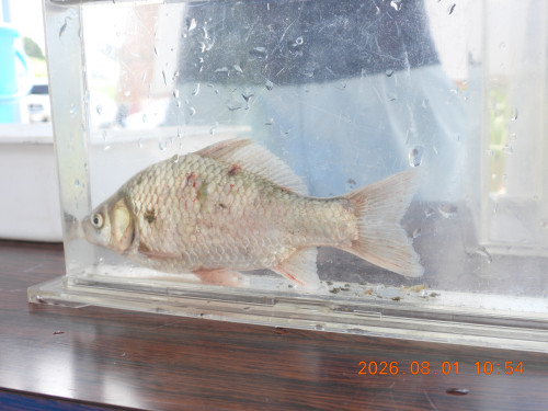 DSCN4961.JPG