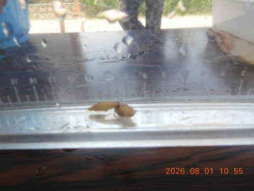 DSCN4963.JPG