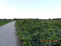 DSCN4966.JPG