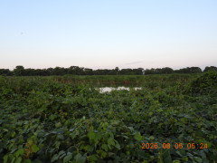 DSCN4967.JPG