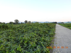 DSCN4968.JPG