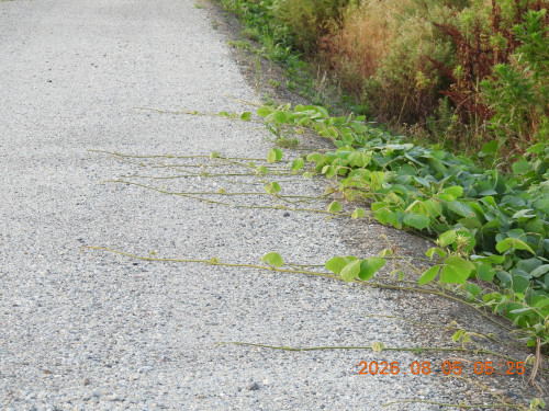 DSCN4969.JPG