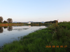 DSCN4973.JPG