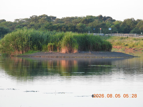 DSCN4975.JPG