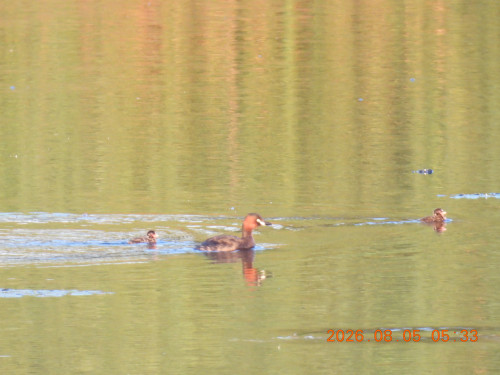 DSCN4979.JPG