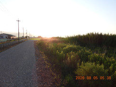 DSCN4986.JPG