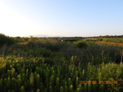DSCN4987.JPG