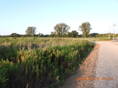 DSCN4988.JPG