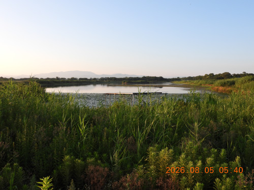 DSCN4990.JPG