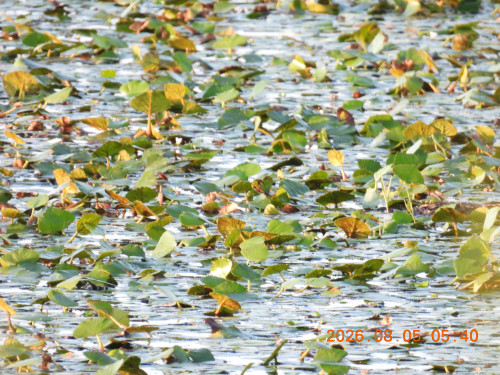 DSCN4989.JPG