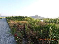 DSCN4993.JPG