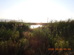 DSCN4994.JPG