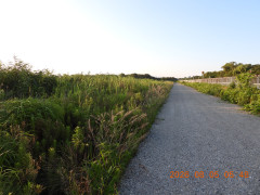 DSCN4995.JPG