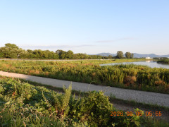 DSCN4997.JPG