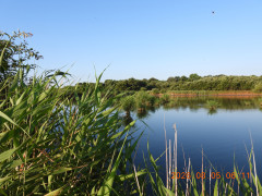 DSCN5009.JPG