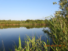 DSCN5010.JPG