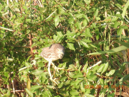 DSCN5014.JPG