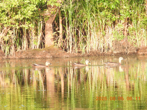 DSCN5008.JPG