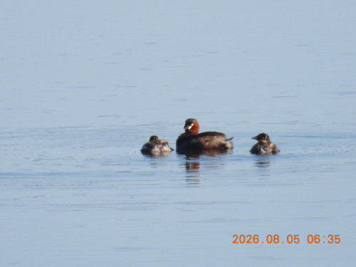 DSCN5019.JPG