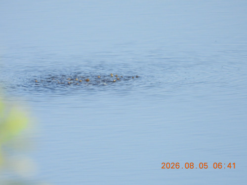 DSCN5028.JPG